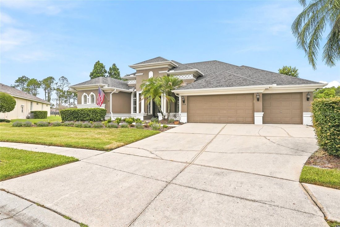House in Land O' Lakes, Florida, United States 4 - 18250256