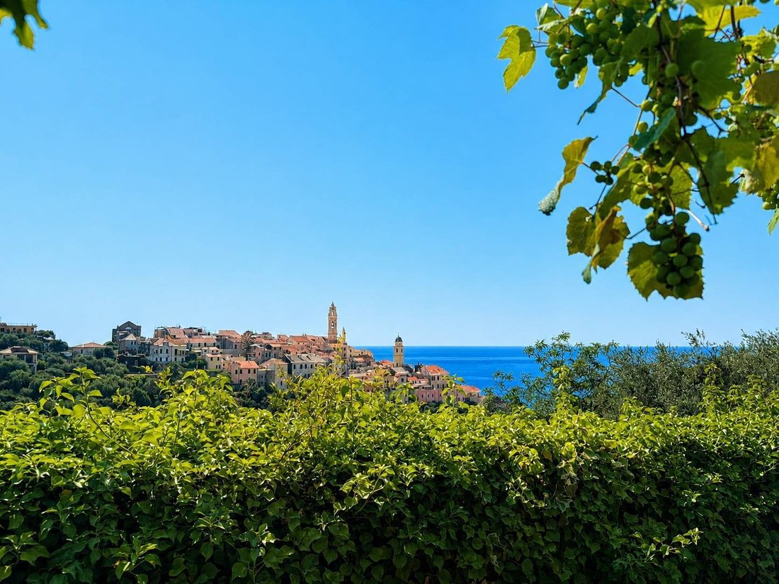 Villa in Cervo, Liguria, Italy 1 - 18292913