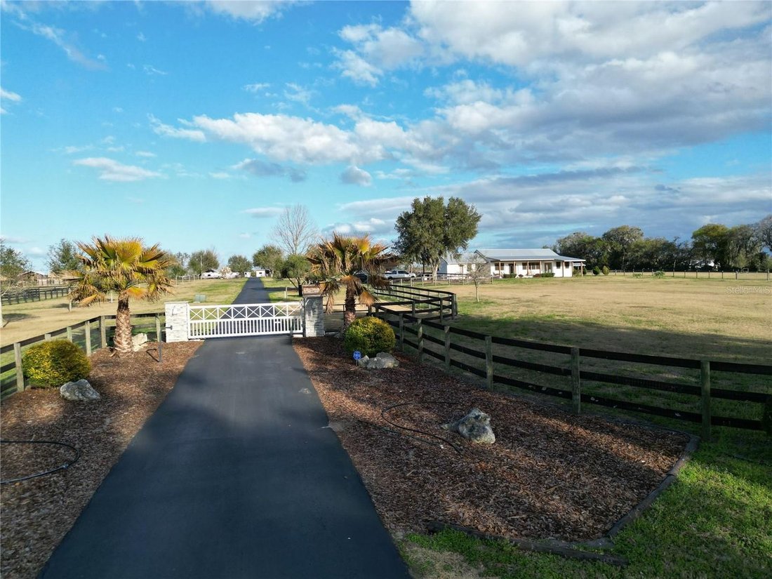 Azienda agricola a Reddick, Florida, Stati Uniti 1 - 18293299