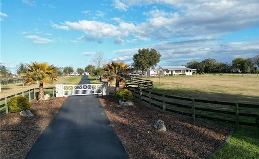 Azienda agricola a Reddick, Florida, Stati Uniti 1