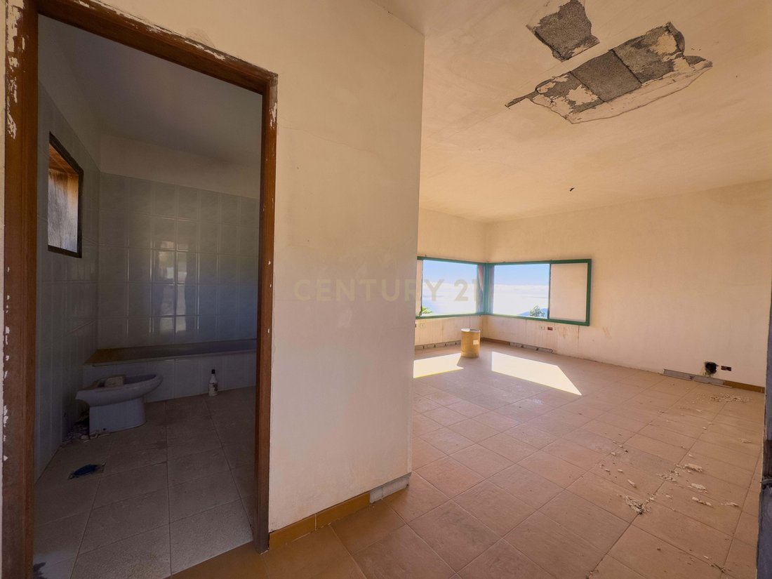 Farm Ranch in Arafo, Canary Islands, Spain 4 - 18295919