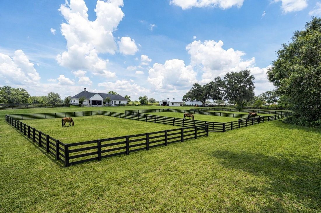Farm Ranch in Ocala, Florida, United States 2 - 18293316