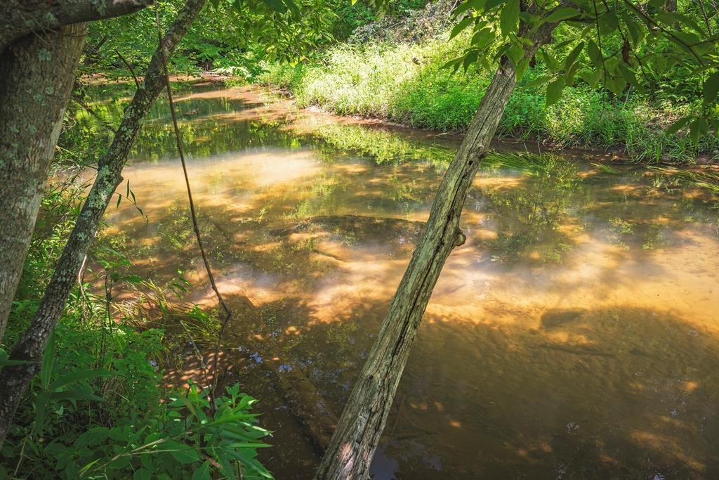 Land in Blue Ridge, Georgia, United States 5 - 18048867