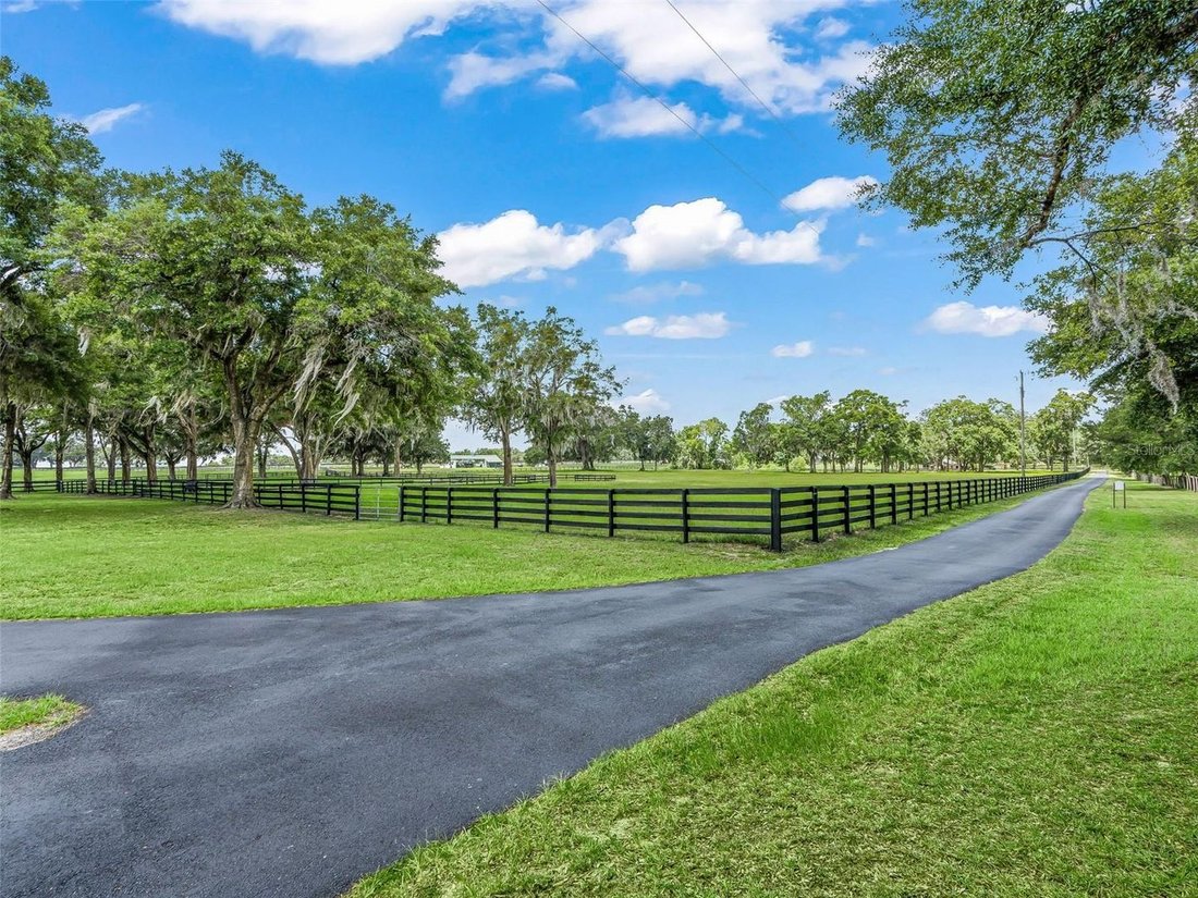 House in Ocala, Florida, United States 3 - 18293312