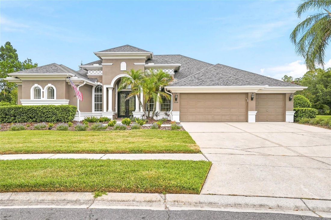 House in Land O' Lakes, Florida, United States 1 - 18250256