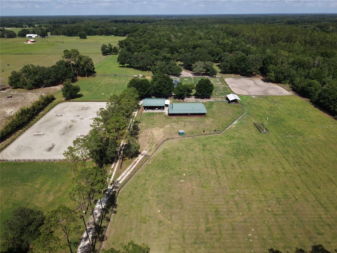 Corps de ferme à Williston, Floride, États-Unis 5 - 18293302