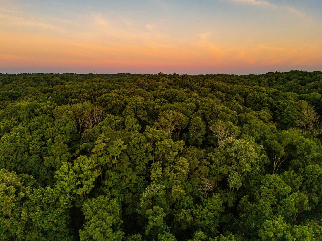 Land in Franklin, Tennessee, United States 2 - 18293309