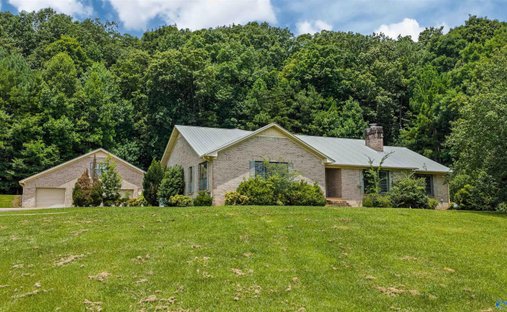 House in Collinsville, Alabama, United States 1