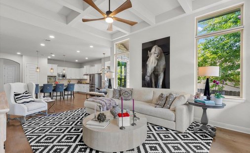 House in Leander, Texas, United States 1