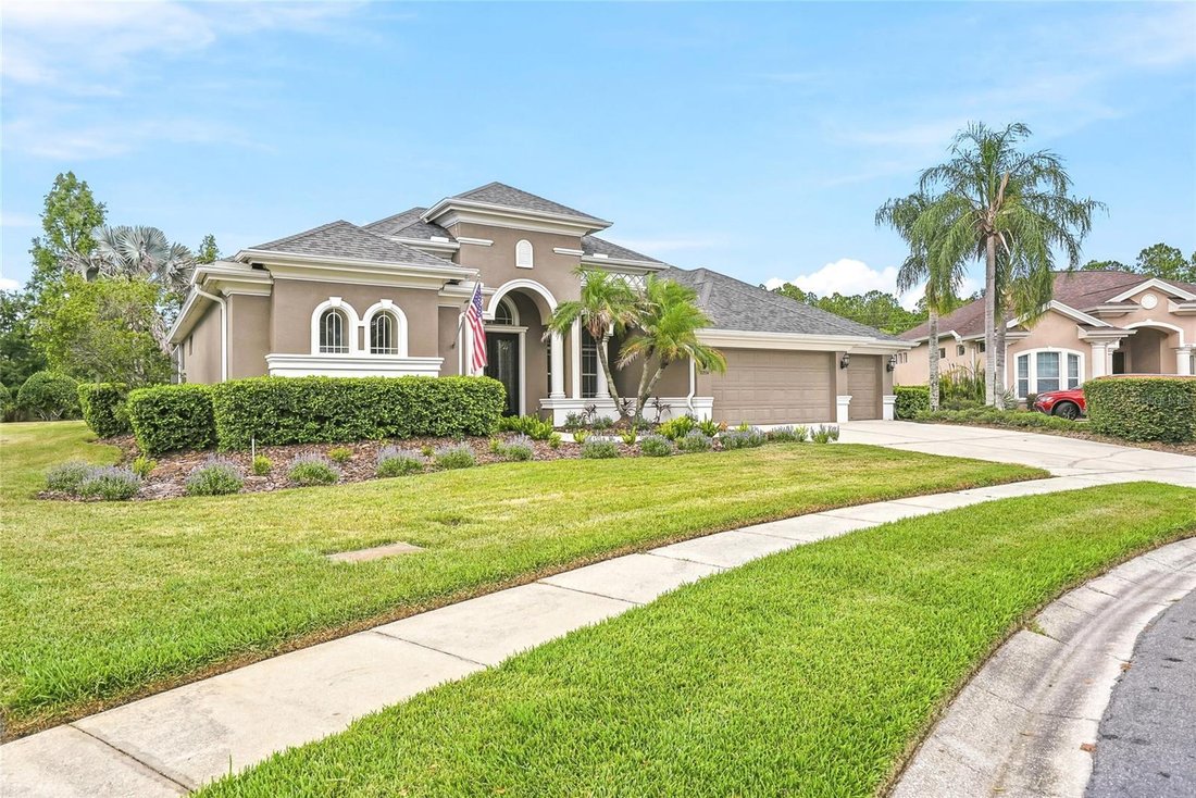 House in Land O' Lakes, Florida, United States 2 - 18250256