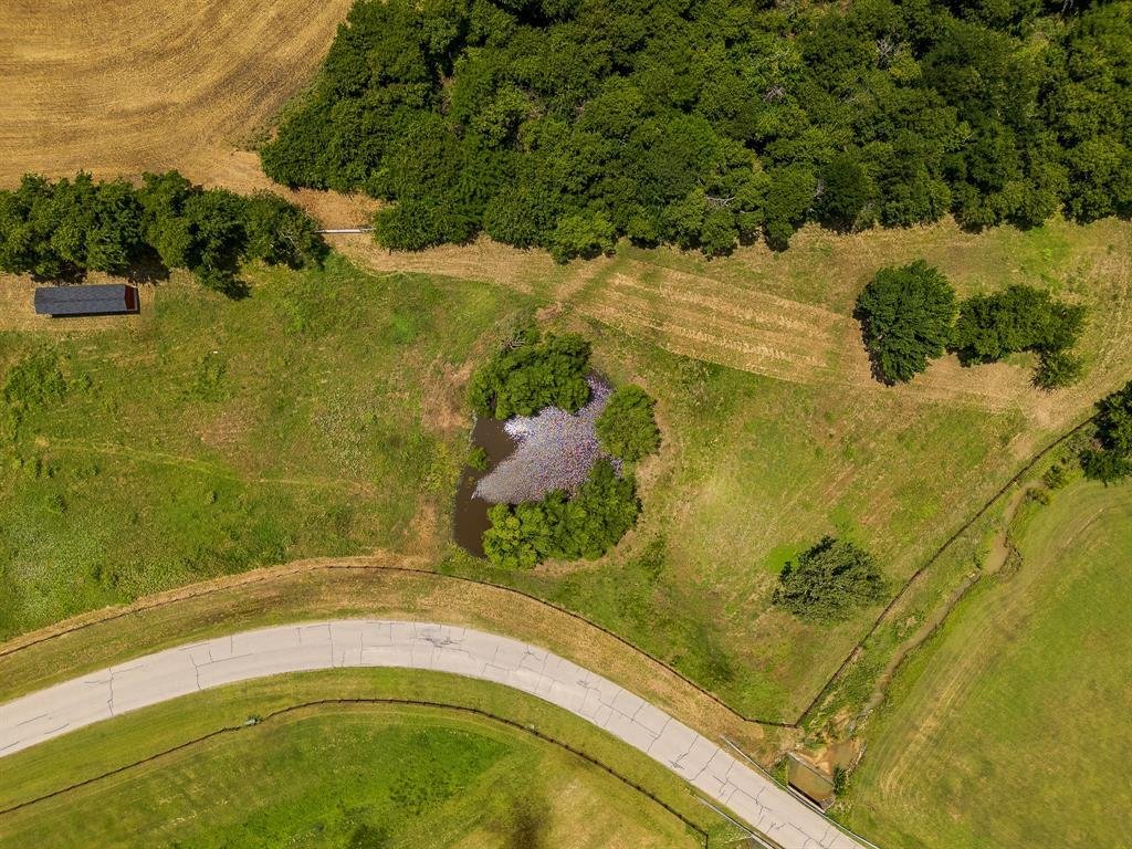 House in Celina, Texas, United States 3 - 18292514