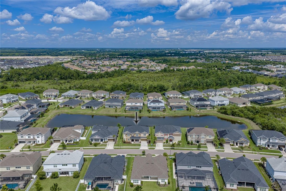 House in Wesley Chapel, Florida, United States 3 - 18292132