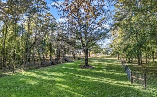 Land in Williston, Florida, United States 1