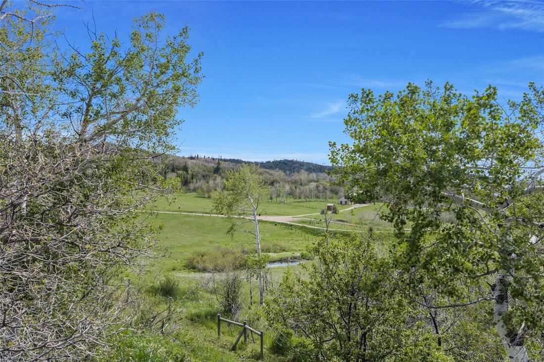 House in Steamboat Springs, Colorado, United States 4 - 18293096