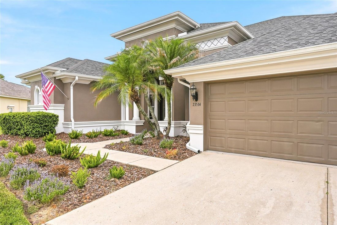 House in Land O' Lakes, Florida, United States 5 - 18250256