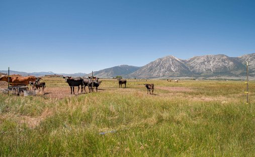 Land in Gardnerville, Nevada, United States 1