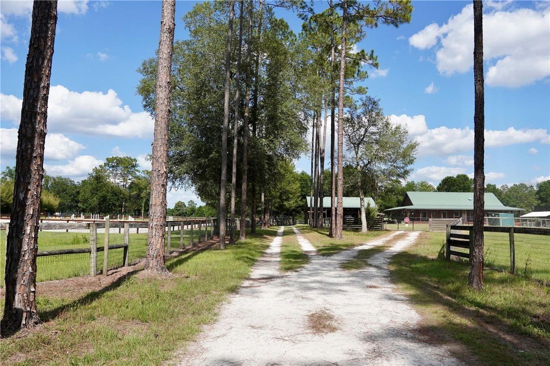 Corps de ferme à Williston, Floride, États-Unis 3 - 18293302