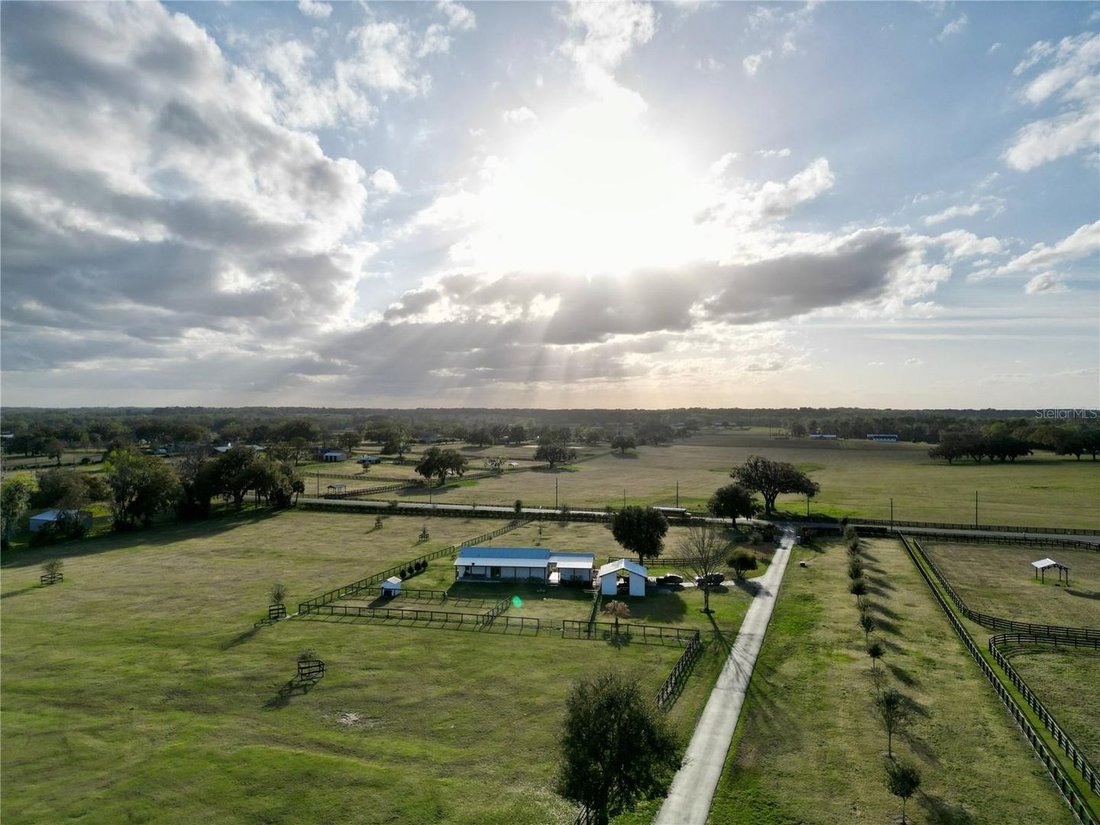Azienda agricola a Reddick, Florida, Stati Uniti 3 - 18293299
