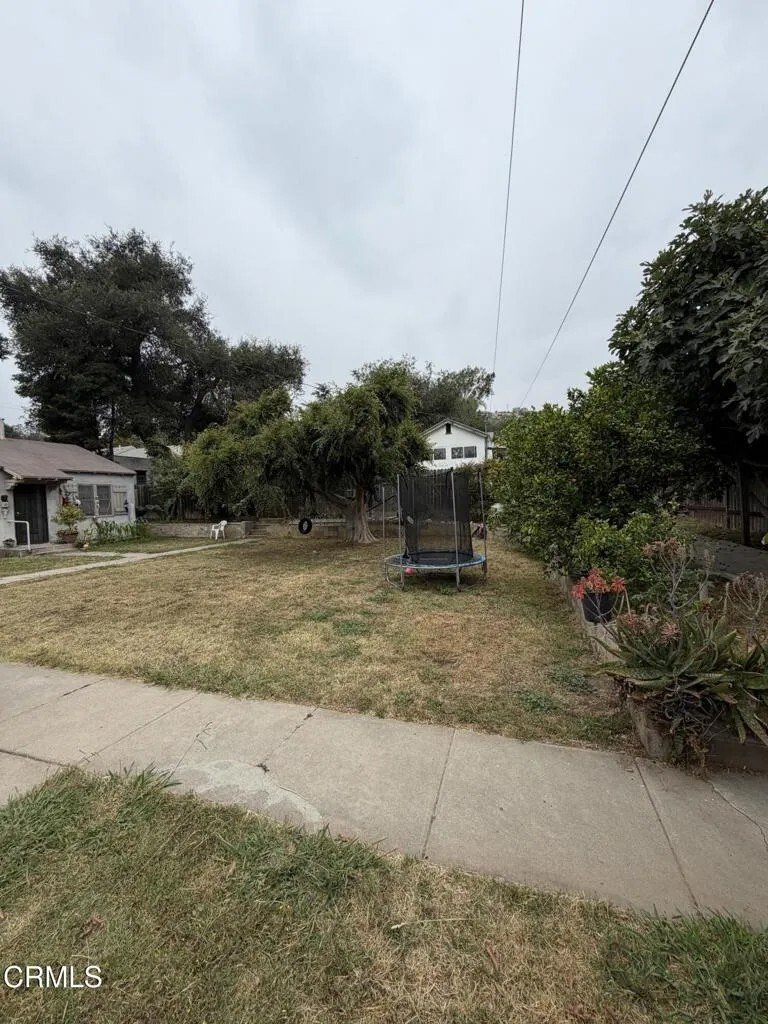 Santa Paula, California, United States 3 - 18288989