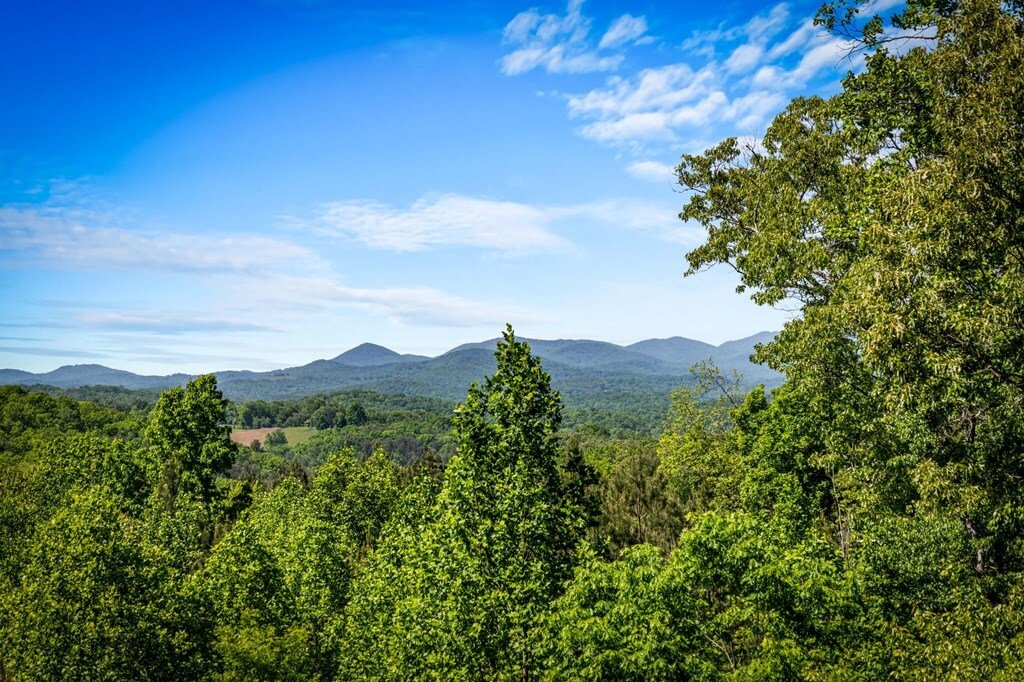 House in Mineral Bluff, Georgia, United States 2 - 18293998