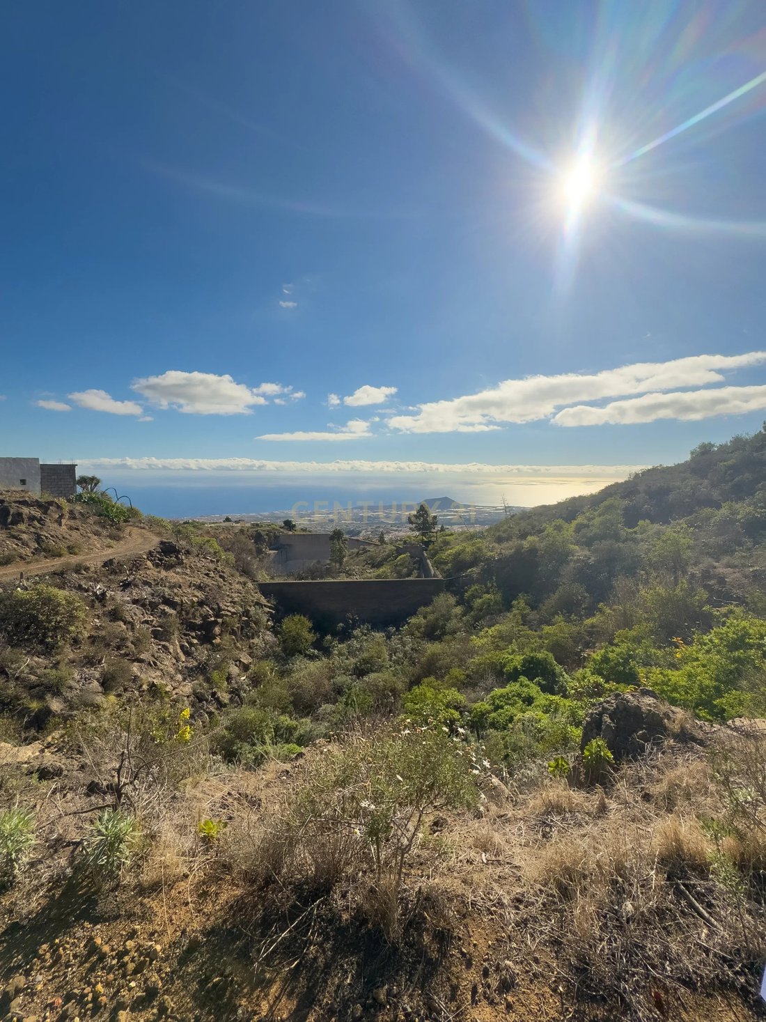 Farm Ranch in Arafo, Canary Islands, Spain 1 - 18295919