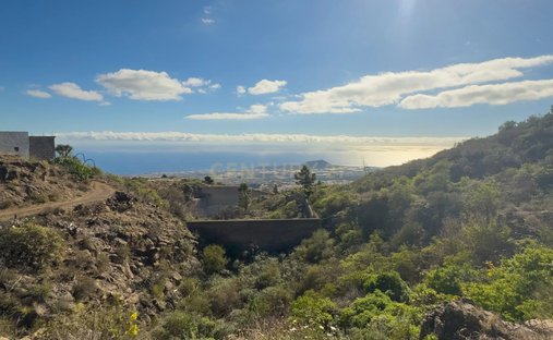 Farm Ranch in Arafo, Canary Islands, Spain 1