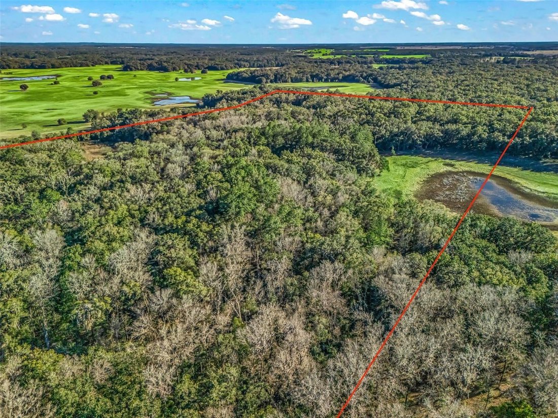 Land in Williston, Florida, United States 4 - 18293311
