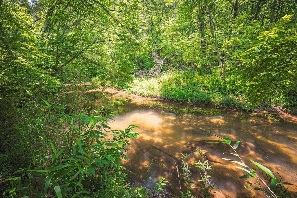 Land in Blue Ridge, Georgia, United States 4 - 18048867
