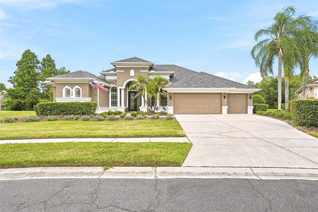 House in Land O' Lakes, Florida, United States 3 - 18250256