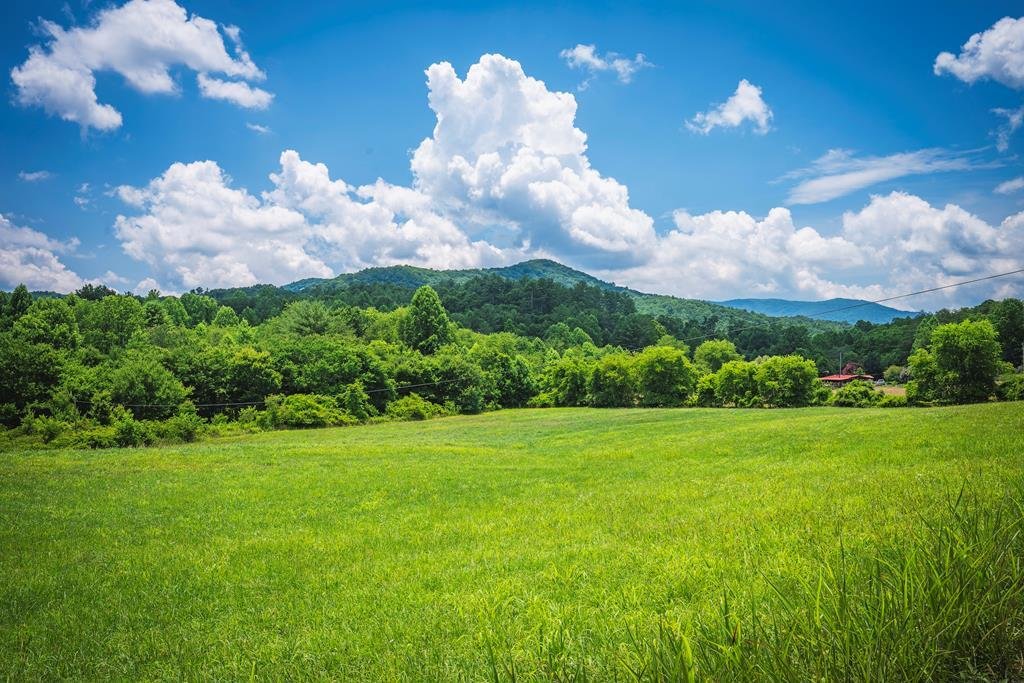 Land in Blue Ridge, Georgia, United States 3 - 18048867