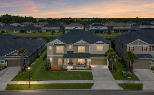 Maison à Wesley Chapel, Floride, États-Unis 1