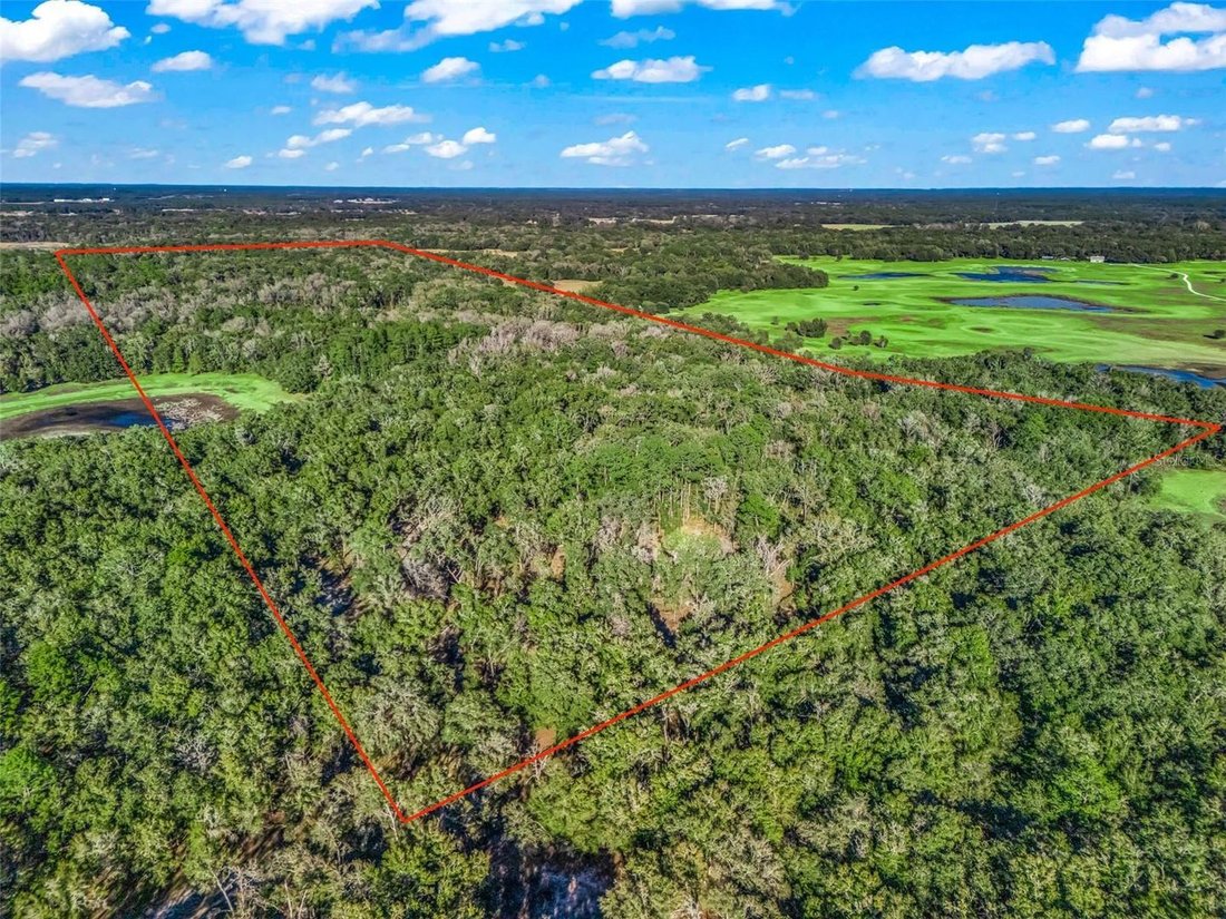 Land in Williston, Florida, United States 3 - 18293311