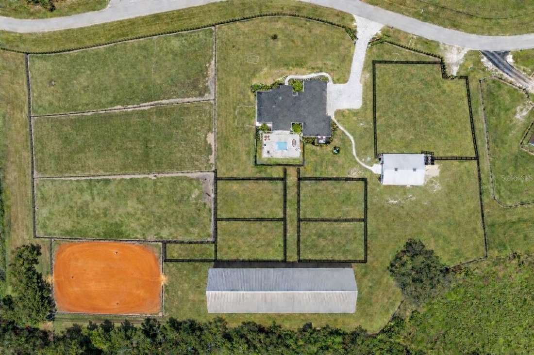 Farm Ranch in Ocala, Florida, United States 3 - 18293316