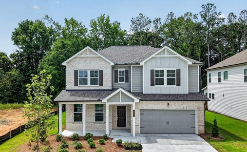 House in Loganville, Georgia, United States 1