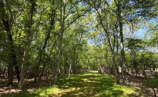 Terrain à East Hampton, État de New York, États-Unis 1