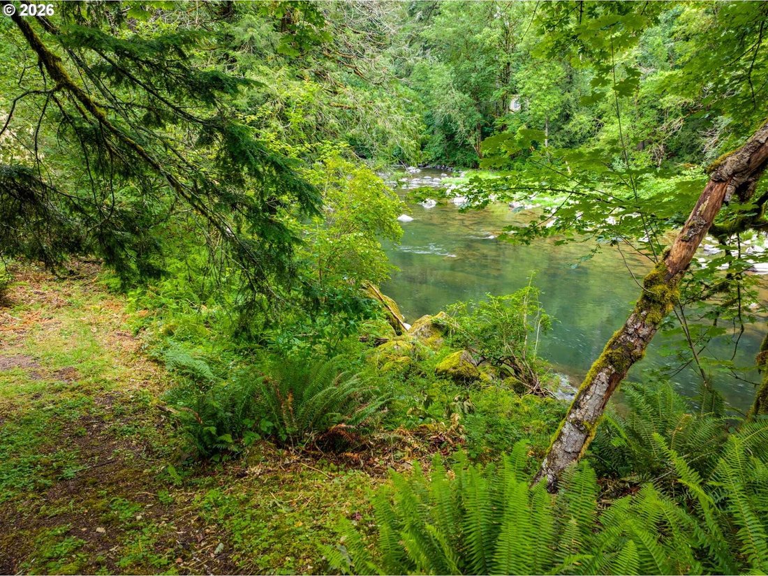 House in Washougal, Washington, United States 4 - 18295668