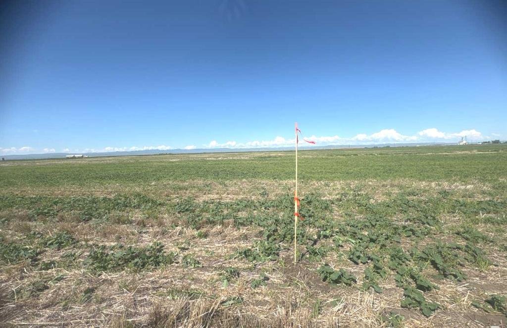 Land in Claresholm, Alberta, Canada 4 - 18296198