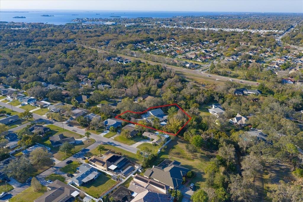 House in Dunedin, Florida, United States 4 - 18296344
