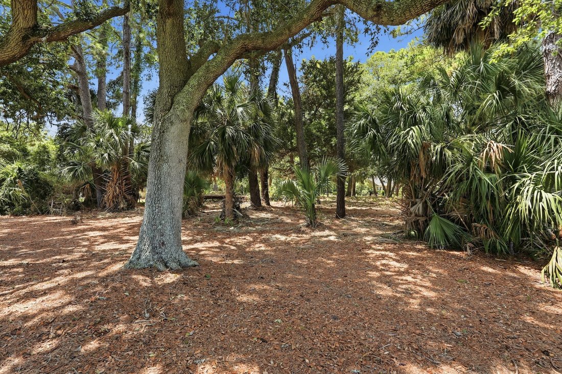 Land in Savannah, Georgia, United States 5 - 18296771