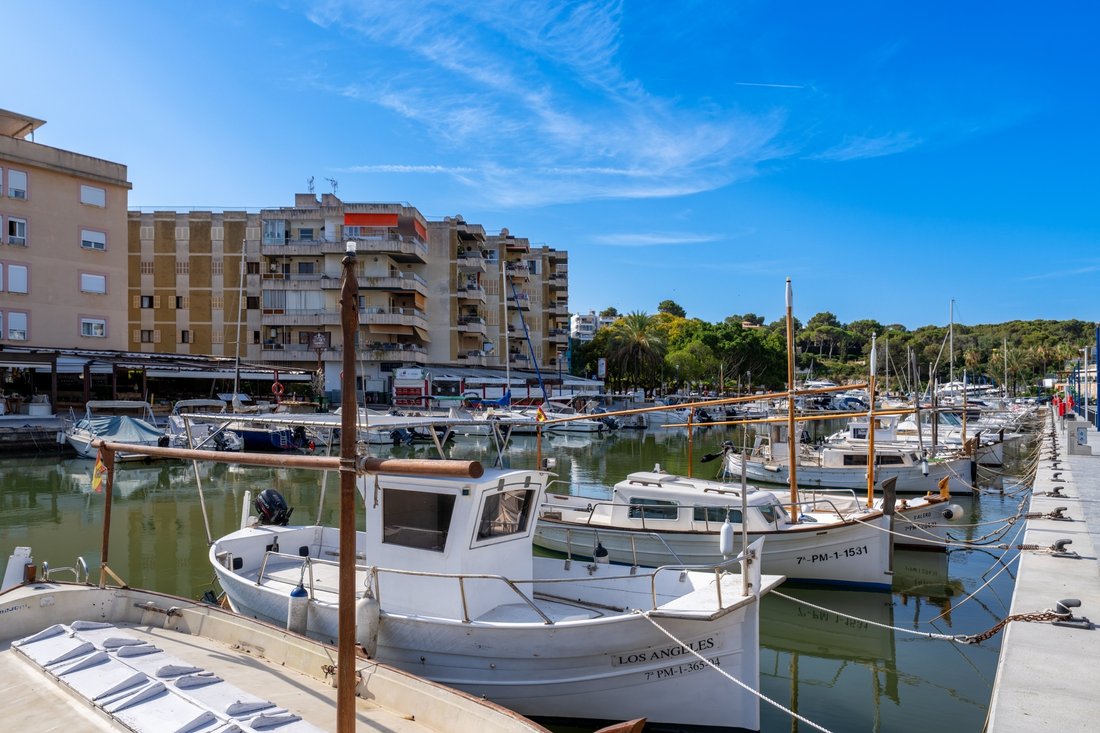 Apartment in Manacor, Balearic Islands, Spain 4 - 18296745