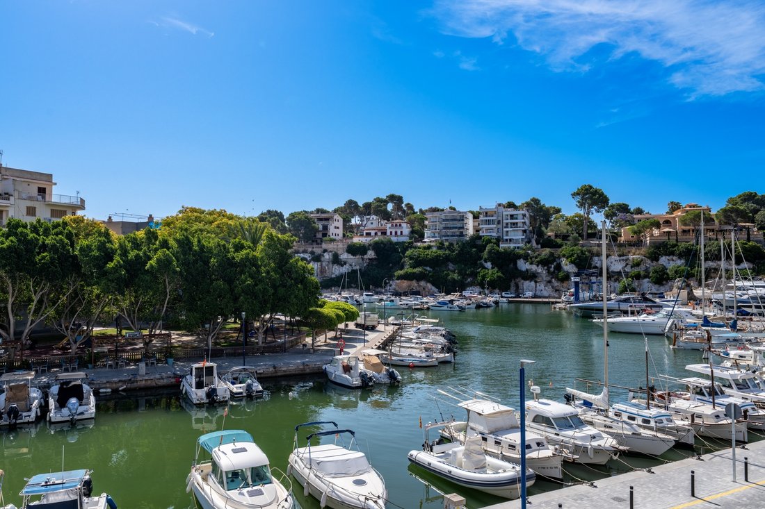 Apartment in Manacor, Balearic Islands, Spain 5 - 18296745