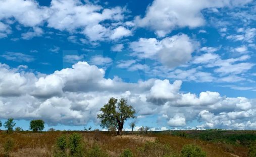 Land in Abela, Setubal, Portugal 1