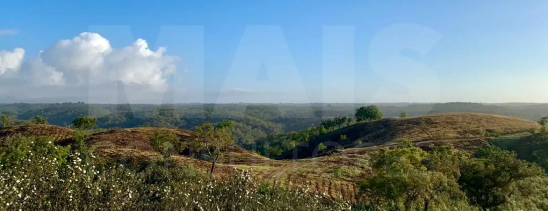 Land in Abela, Setubal, Portugal 4 - 18296953
