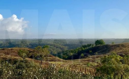 Land in Abela, Setubal, Portugal 1