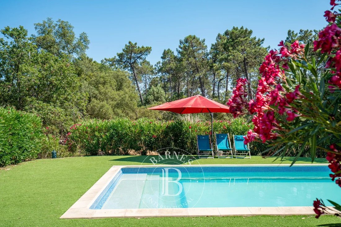 Villa in Partie Sud-Collet-Redon-Vauses-Testavins, Le Muy, France 2 - 18296854