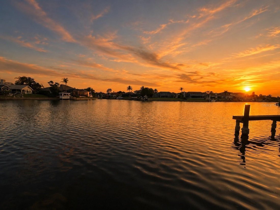 House in Tampa, Florida, United States 3 - 17183932
