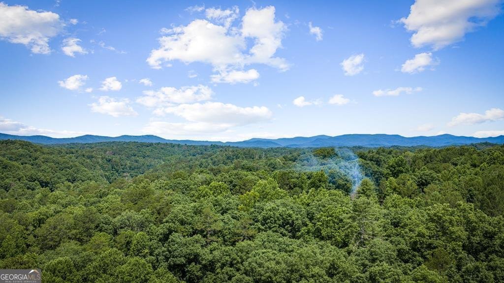House in Ellijay, Georgia, United States 2 - 18297430
