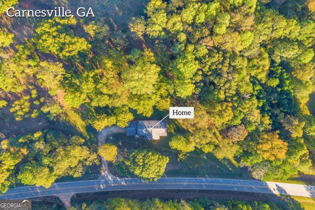 House in Carnesville, Georgia, United States 4 - 18297414
