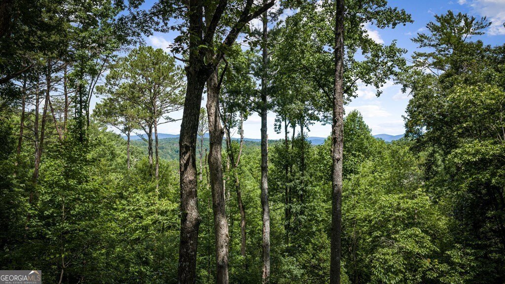 House in Ellijay, Georgia, United States 3 - 18297430
