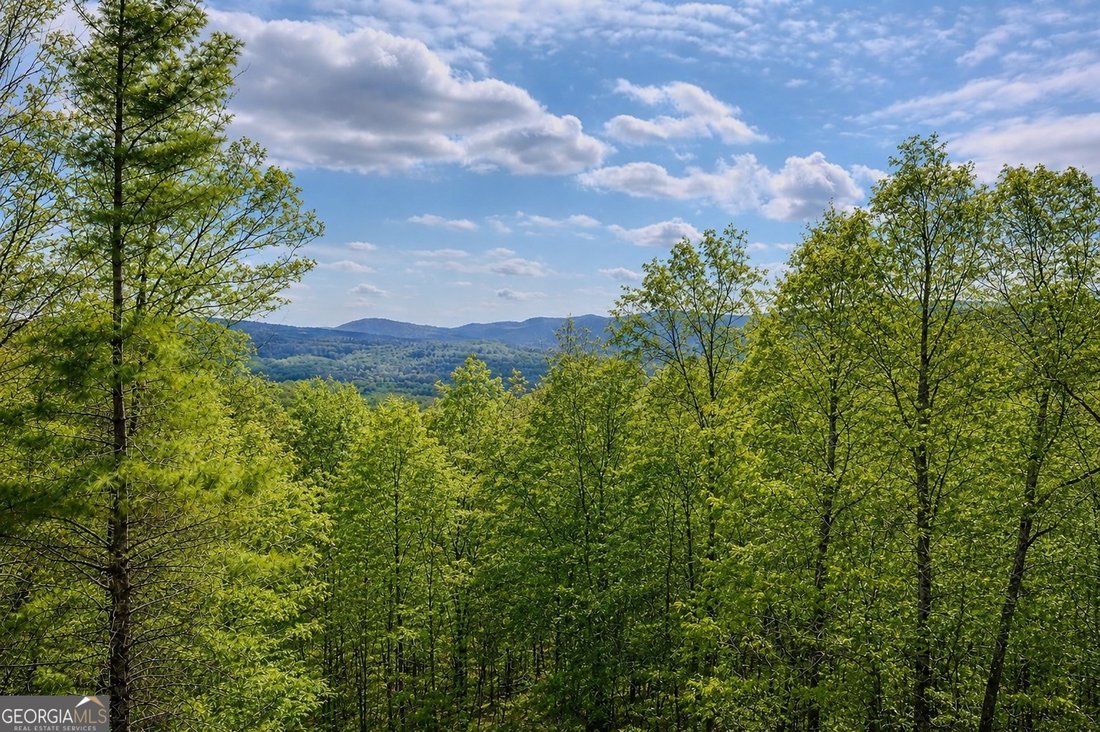 House in Ellijay, Georgia, United States 3 - 18226141